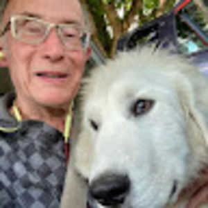 Meet your Posher, Bruce